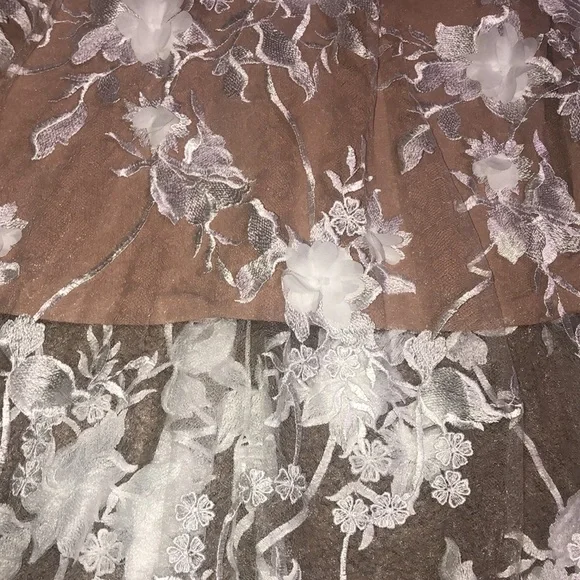 Dress the Population Sidney Floral Appliqu Illusion Sheer Gown White/Nude  M